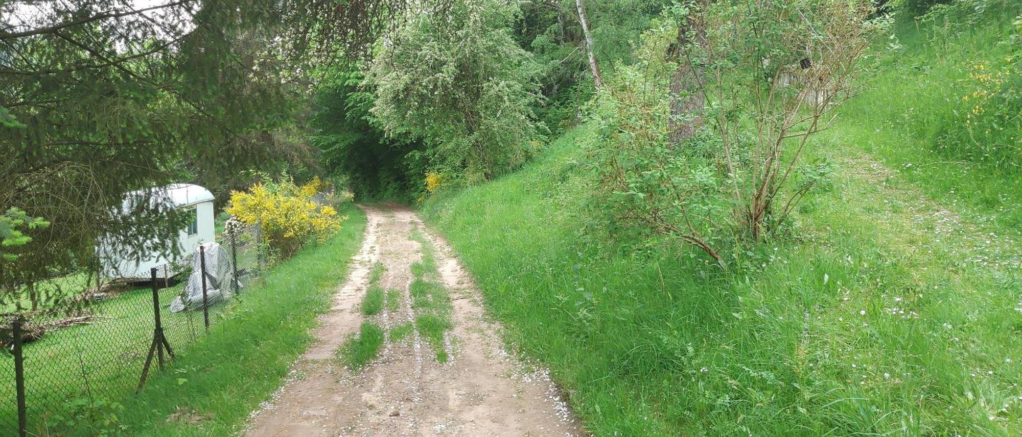 Sessles Waldhaeusschen Dietzhausen Зуль Экстерьер фото