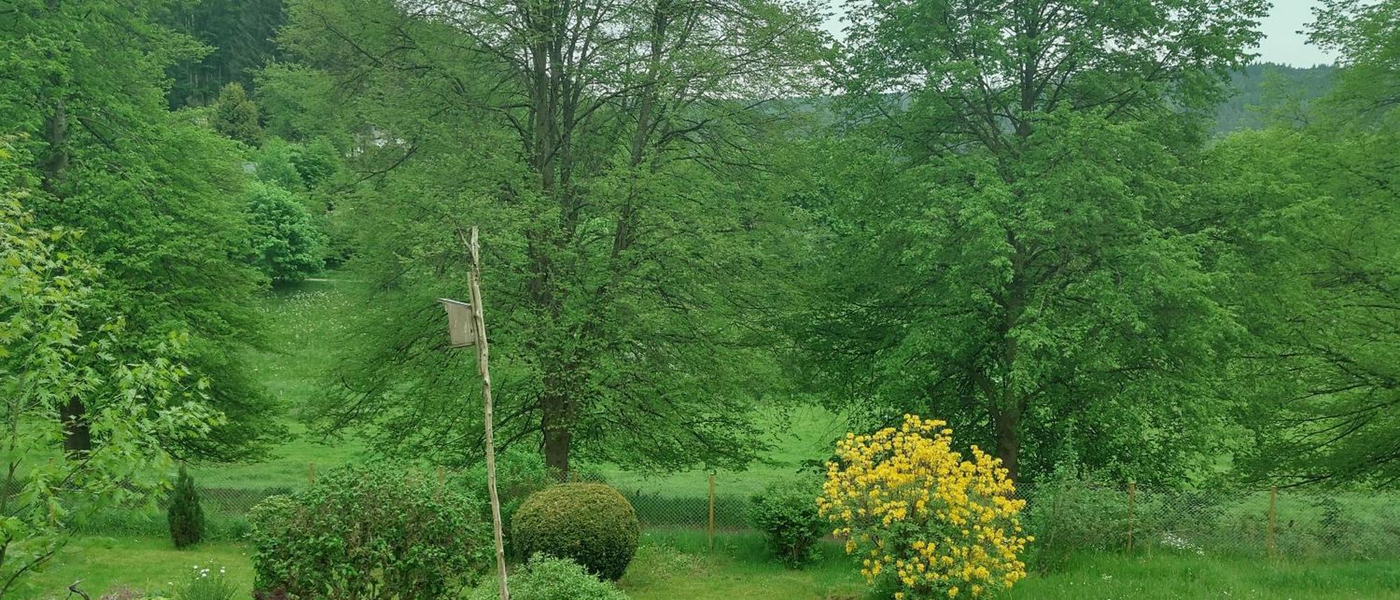 Sessles Waldhaeusschen Dietzhausen Зуль Экстерьер фото
